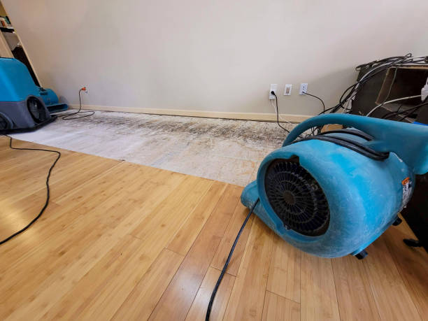 Professional Structural Drying technician working in Concho, OK